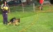 Schautraining Mai 2005.jpg