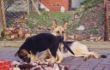 Ronda-Conny 1992a.jpg