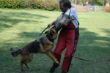 Jasca am 23.04.2011